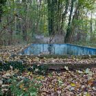 Schwimmbecken im Garten