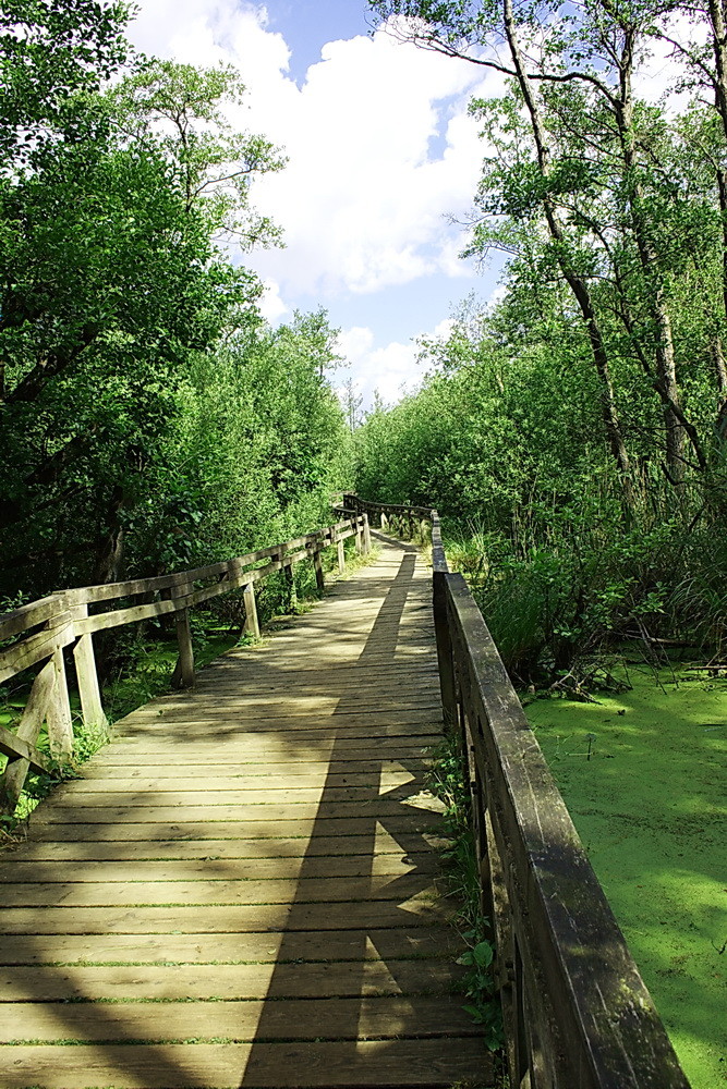 Schwimmbrücke zum Tunneltal