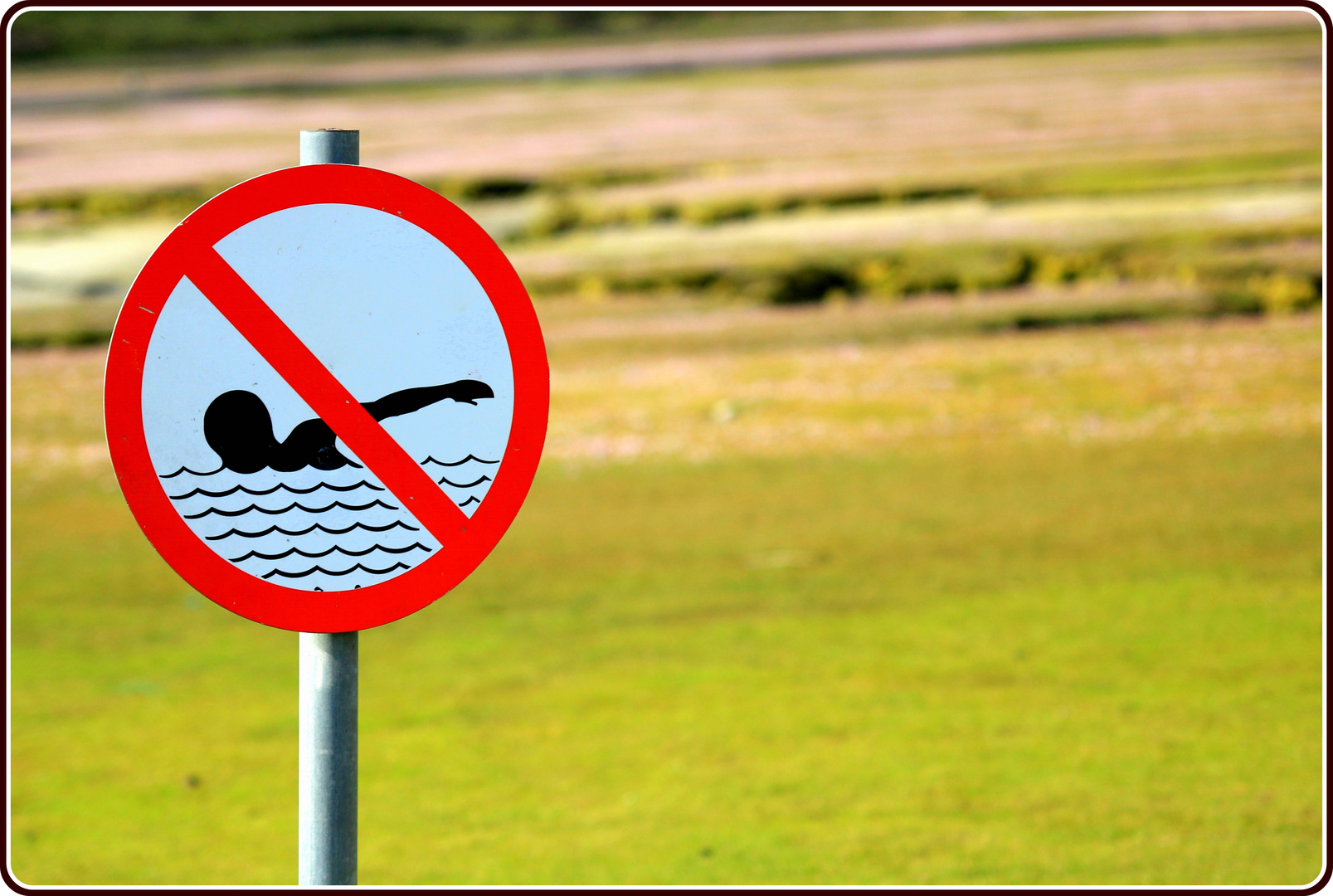 Schwimmen auf dem Rasen verboten... :-)