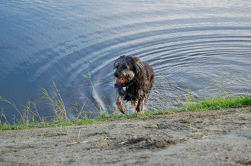 Schwimmen hält fit