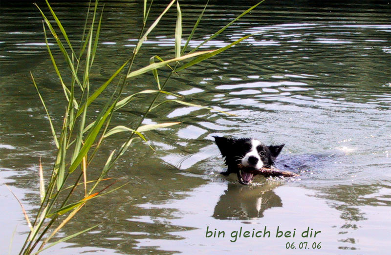 Schwimmen, ihre Leidenschaft