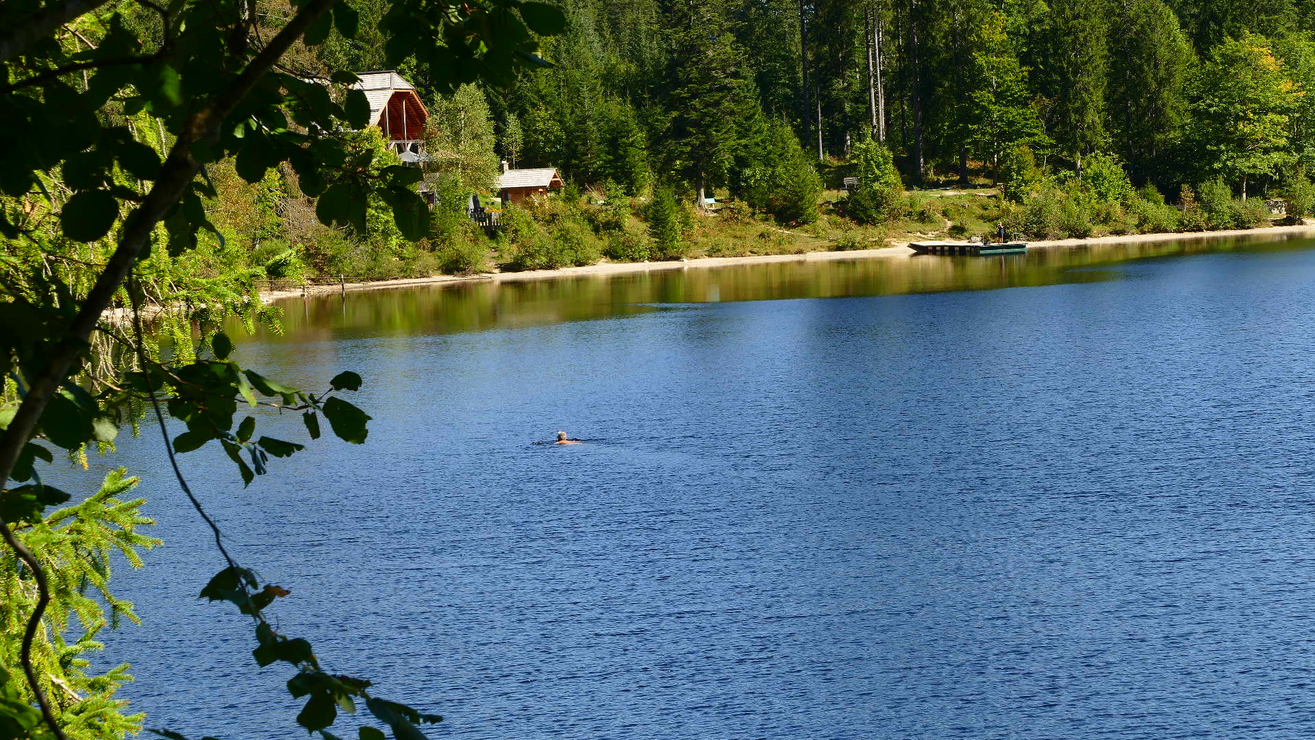 Schwimmen im Blau