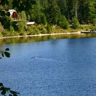 Schwimmen im Blau