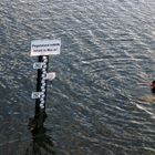 Schwimmen im Rursee 