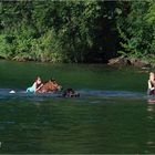 Schwimmen im See