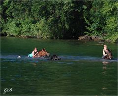 Schwimmen im See