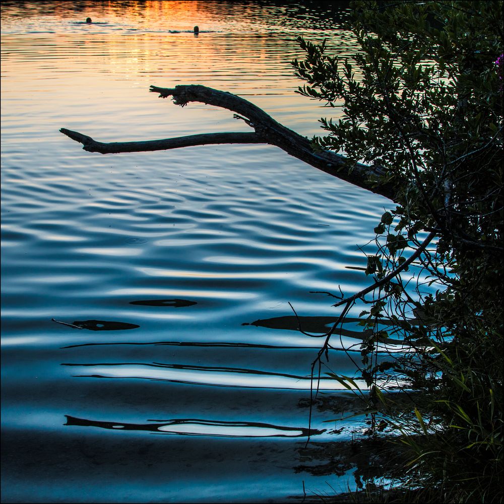 Schwimmen im See bei Sonnenuntergang