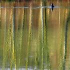 Schwimmen im Wald