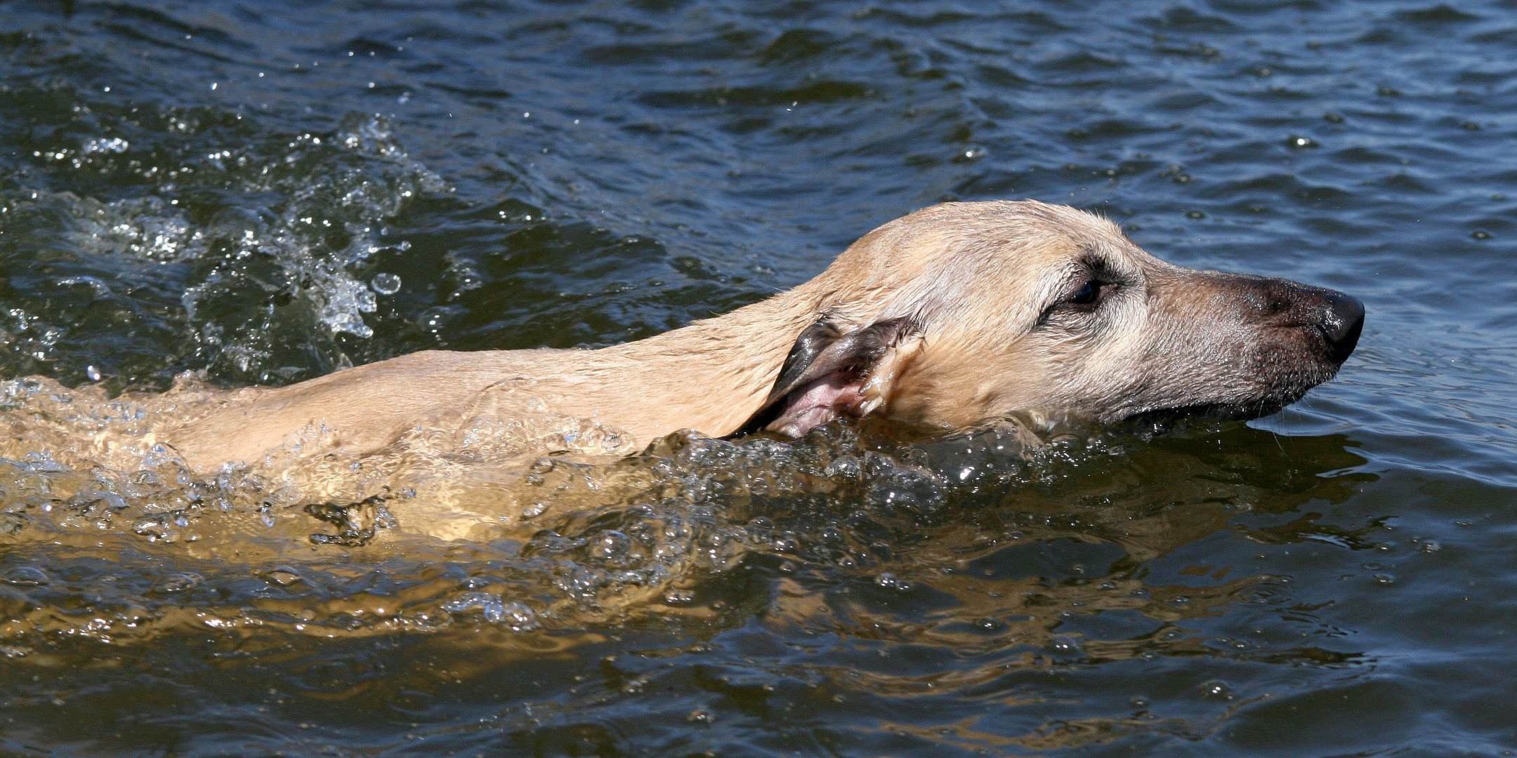 Schwimmen in den Mai