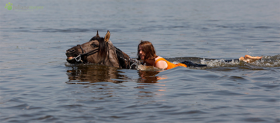 Schwimmen in der Elbe