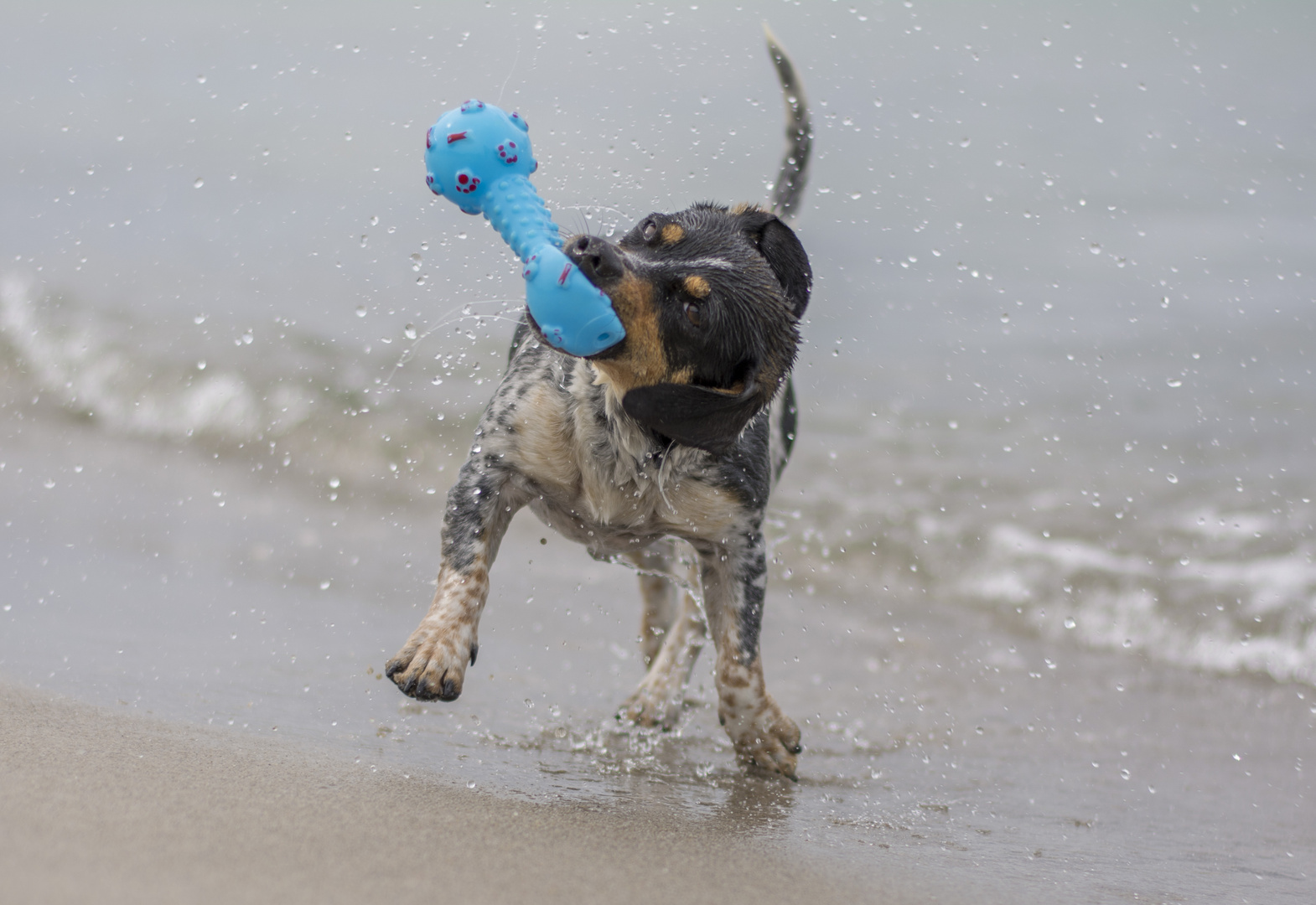 Schwimmen in der Ostsee :D