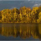 schwimmen in gold