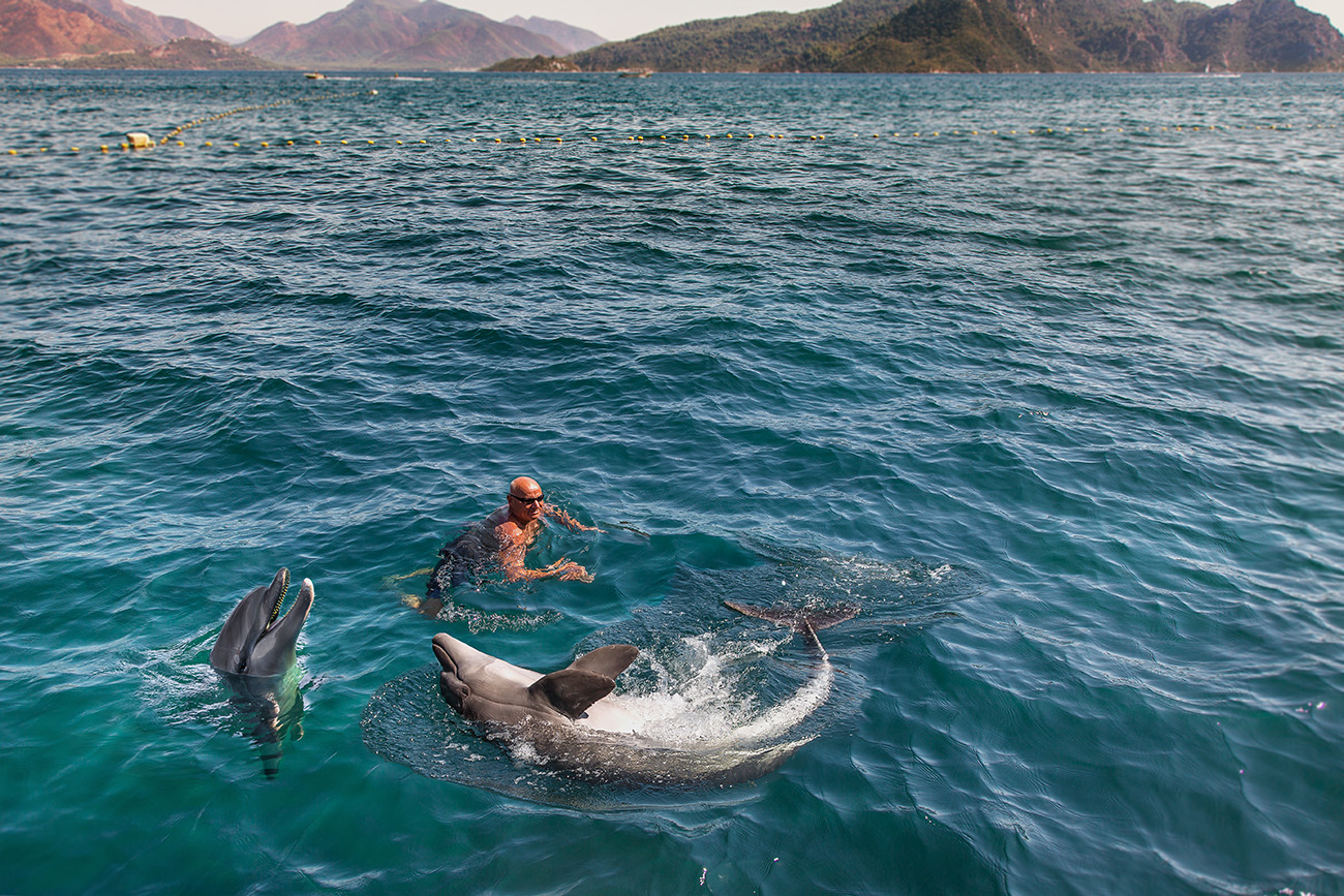 Schwimmen mit Delfinen - Marmaris Türkische Ägäis