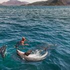 Schwimmen mit Delfinen - Marmaris Türkische Ägäis