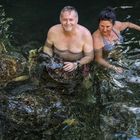 Schwimmen mit den Schildkröten