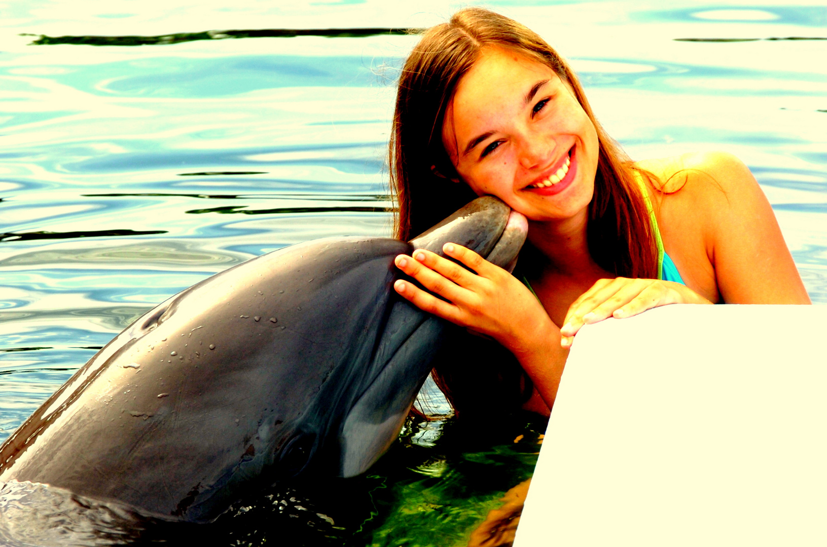 schwimmen mit einem delfin