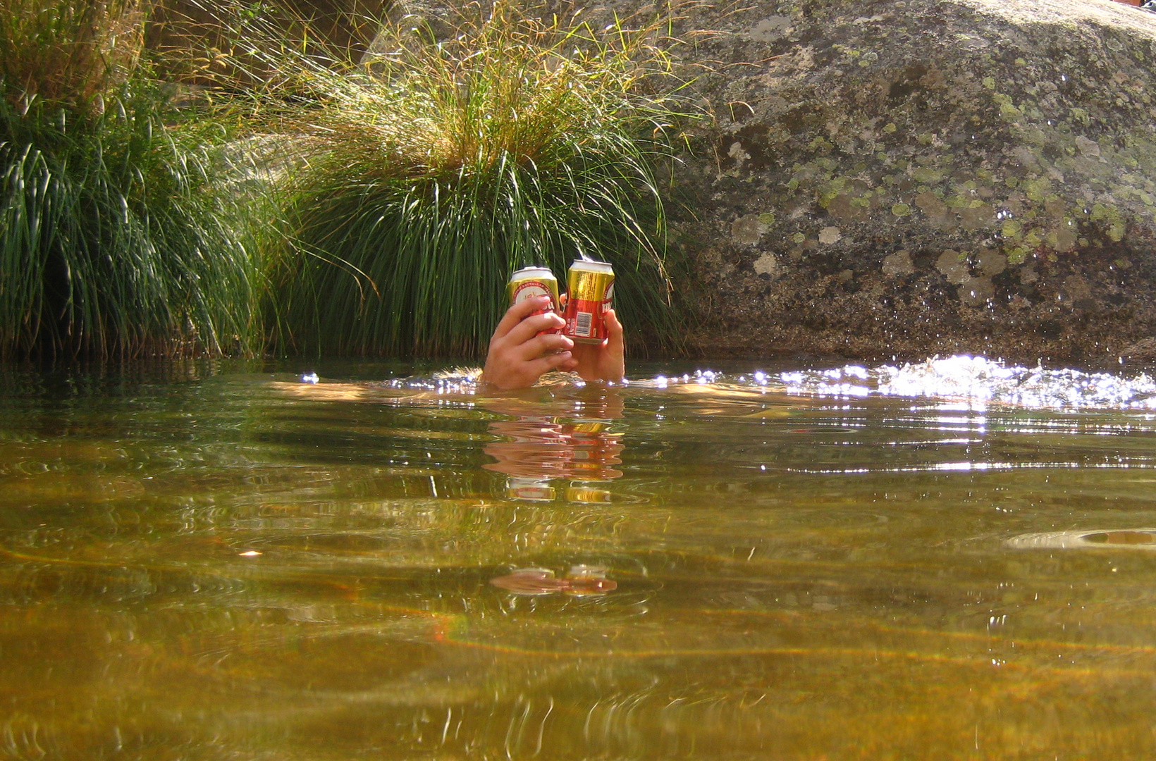 Schwimmen mit Freunden