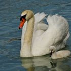 Schwimmen mit Mama