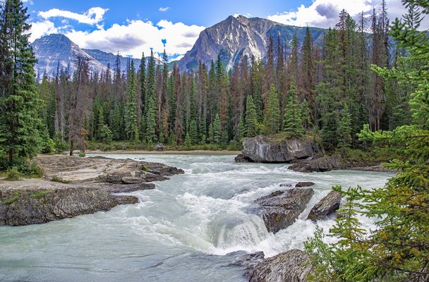 Schwimmen nein ... zu kalt