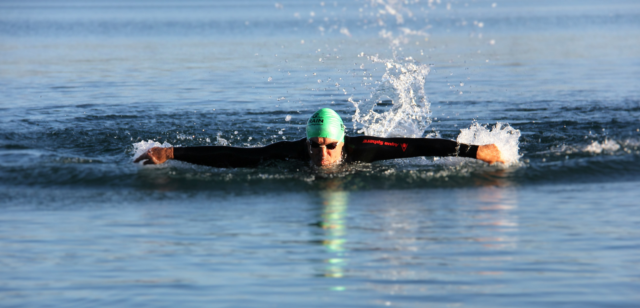 Schwimmen oder Fliegen ...