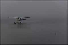 schwimmen und fliegen