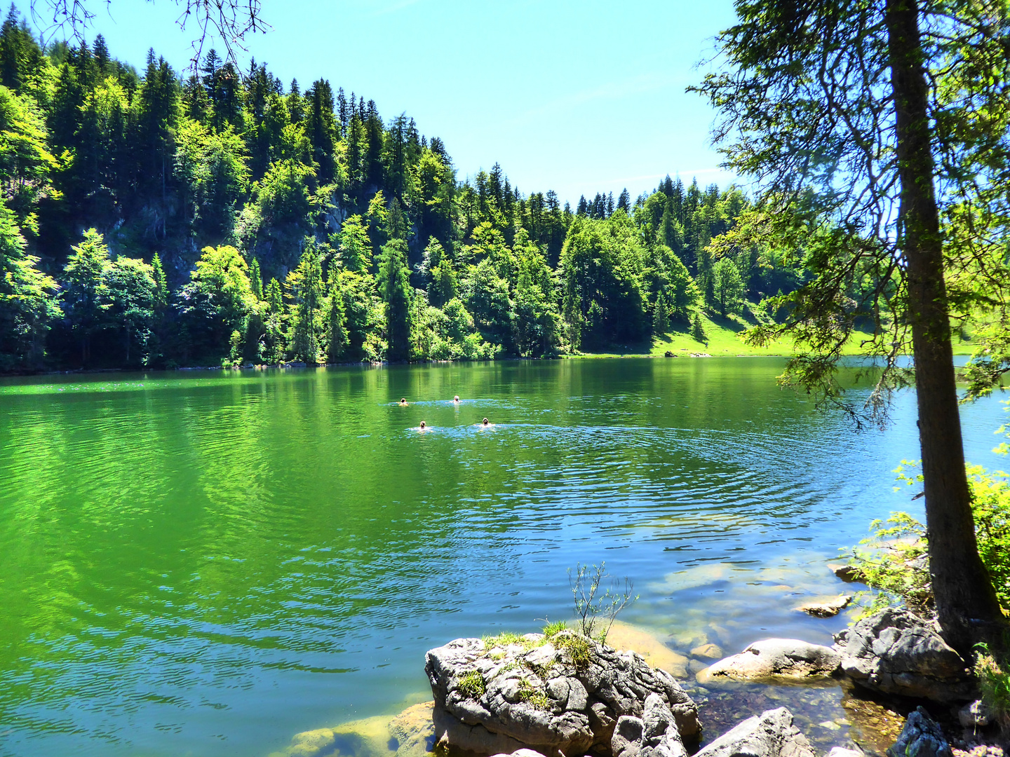 Schwimmen von Deutschland nach Österreich