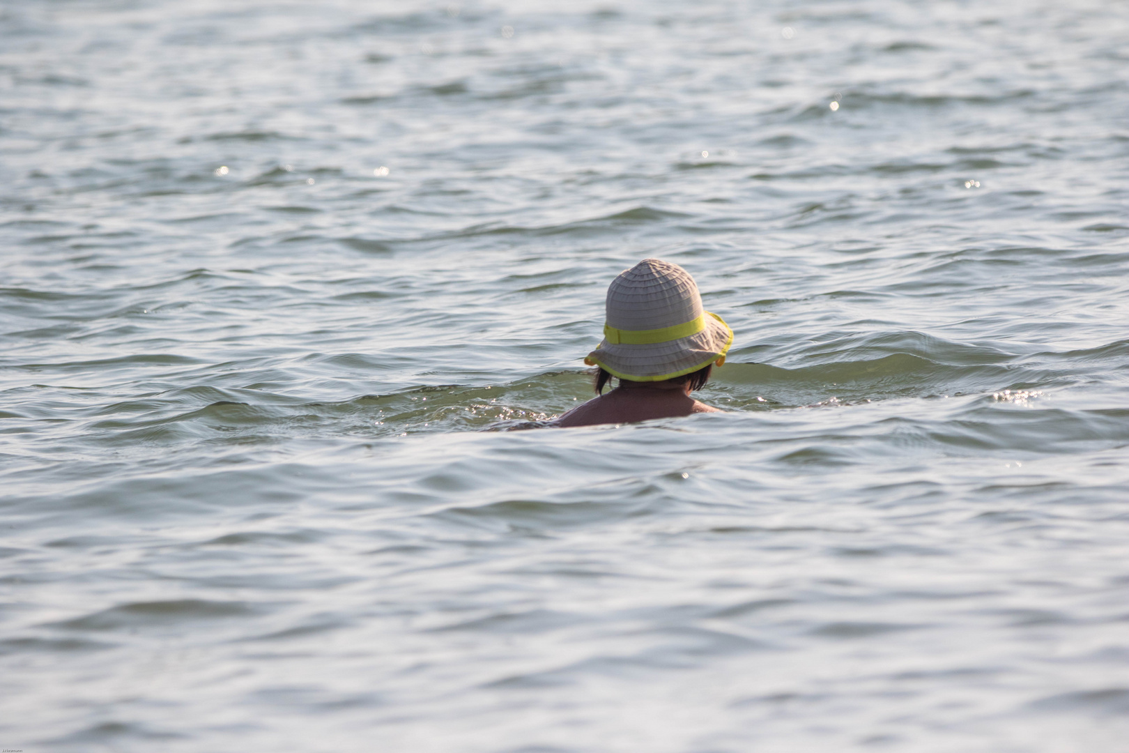 schwimmen vor Amrum