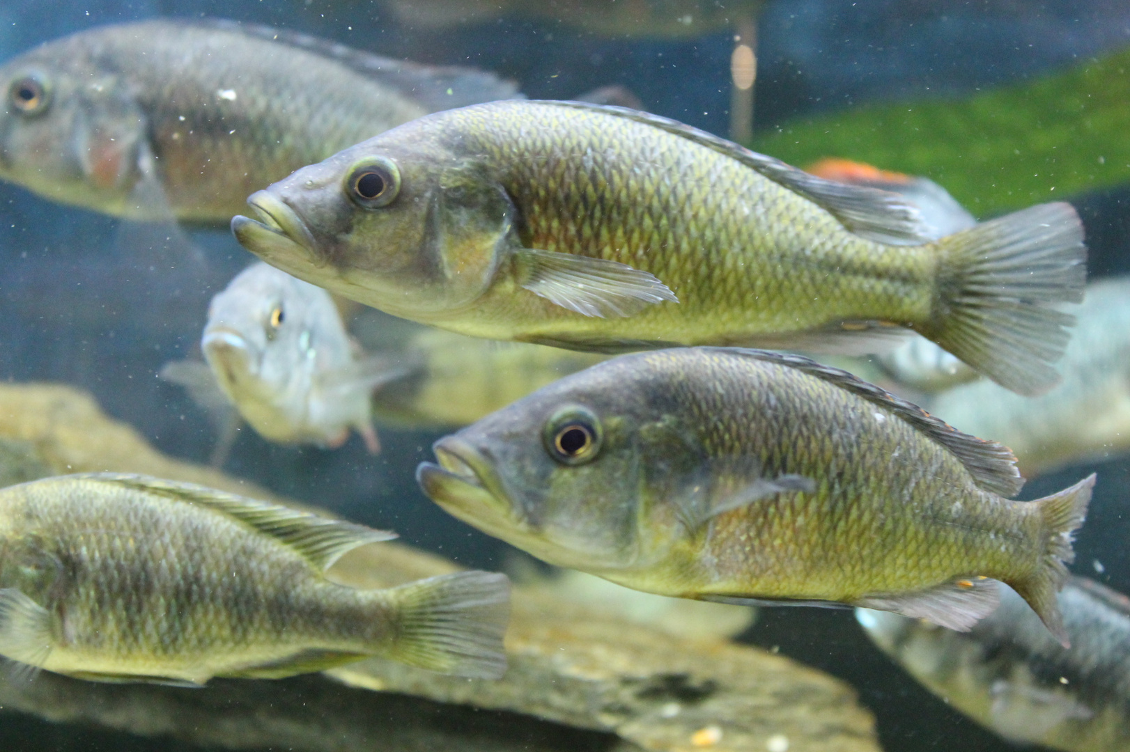 Schwimmen wir auch in die richtige Richtung