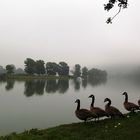 Schwimmen wir nun oder nicht?