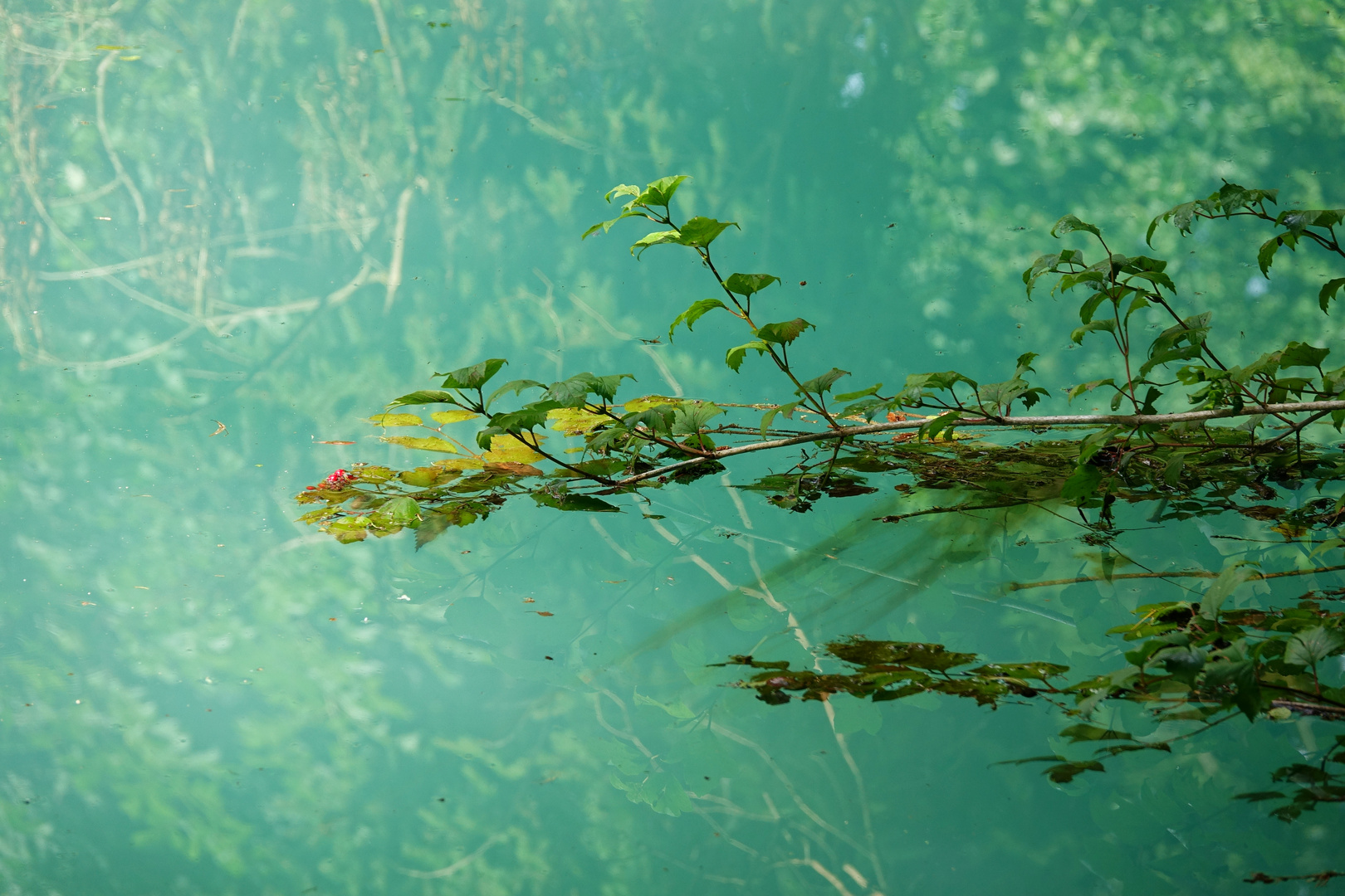 Schwimmend oder schwebend