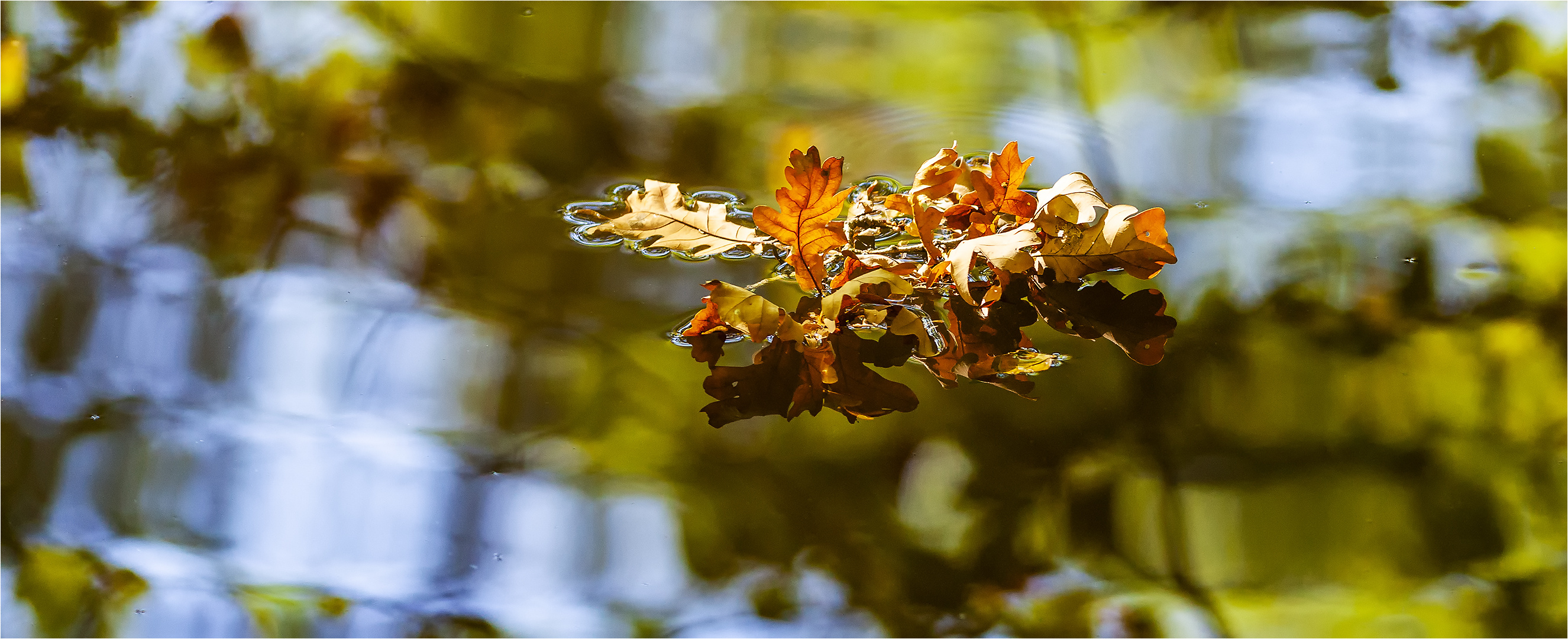 … Schwimmend oder schwebend? …