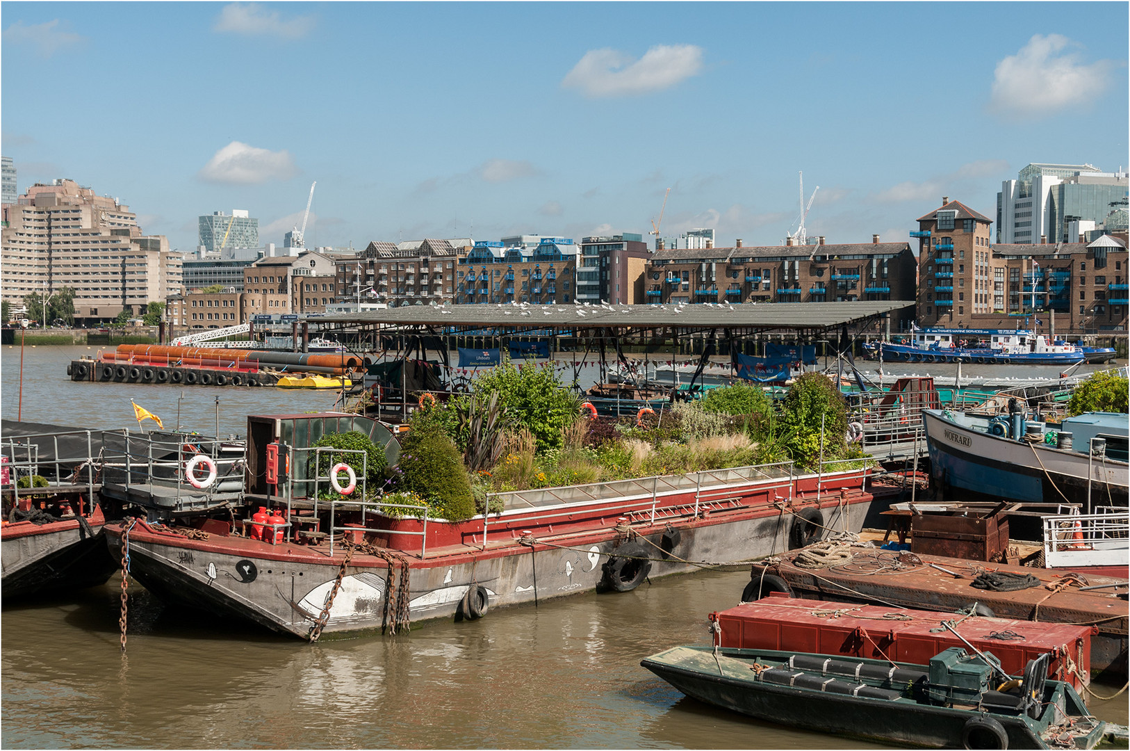 Schwimmende Gärten Foto & Bild london, motive, themse