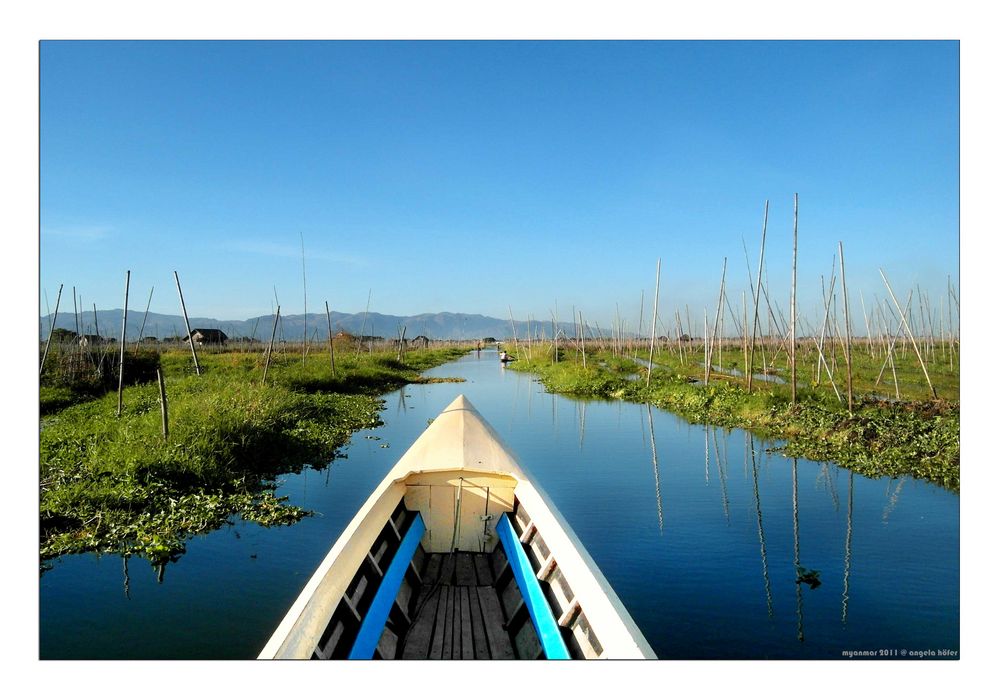 schwimmende gärten vom inle see Foto &amp; Bild asia