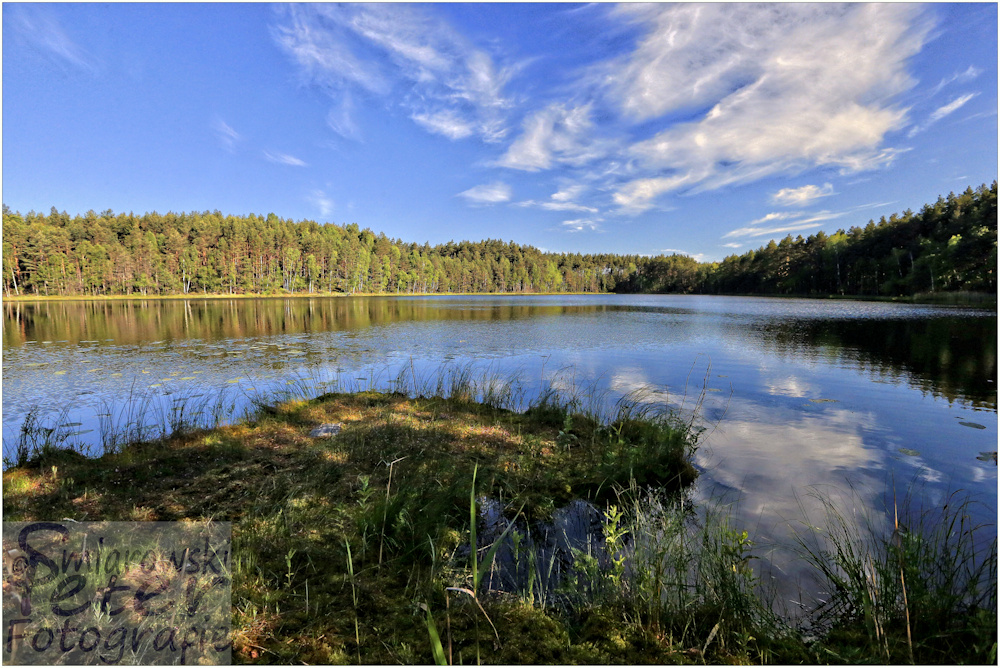 Schwimmende Halbinsel am Kocioleksee