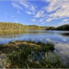 Schwimmende Halbinsel am Kocioleksee