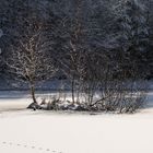 Schwimmende Insel im Februar