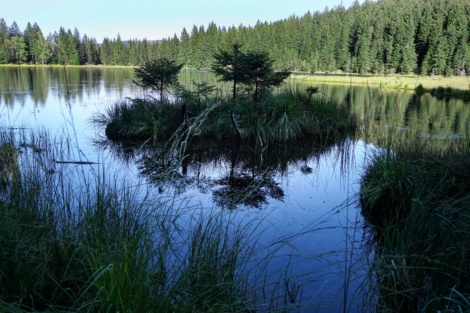 Schwimmende Insel im Kleinen Arbersee