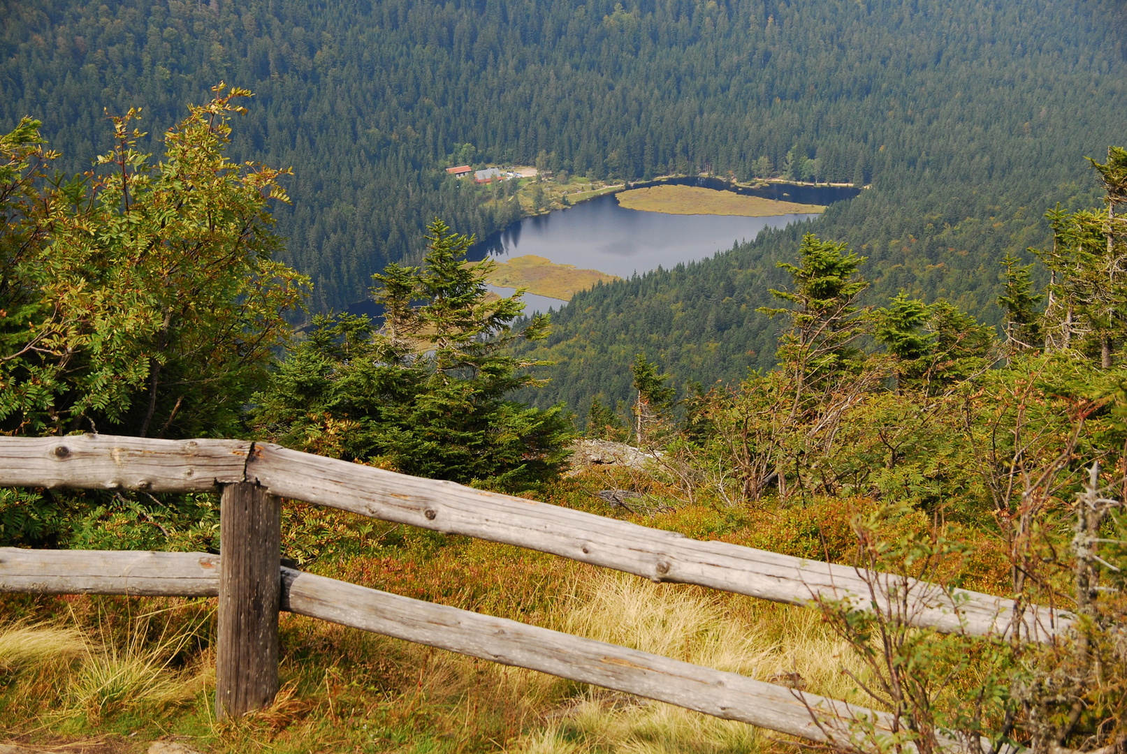 schwimmende Inseln