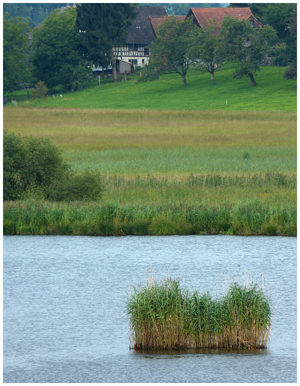 schwimmende Inseln