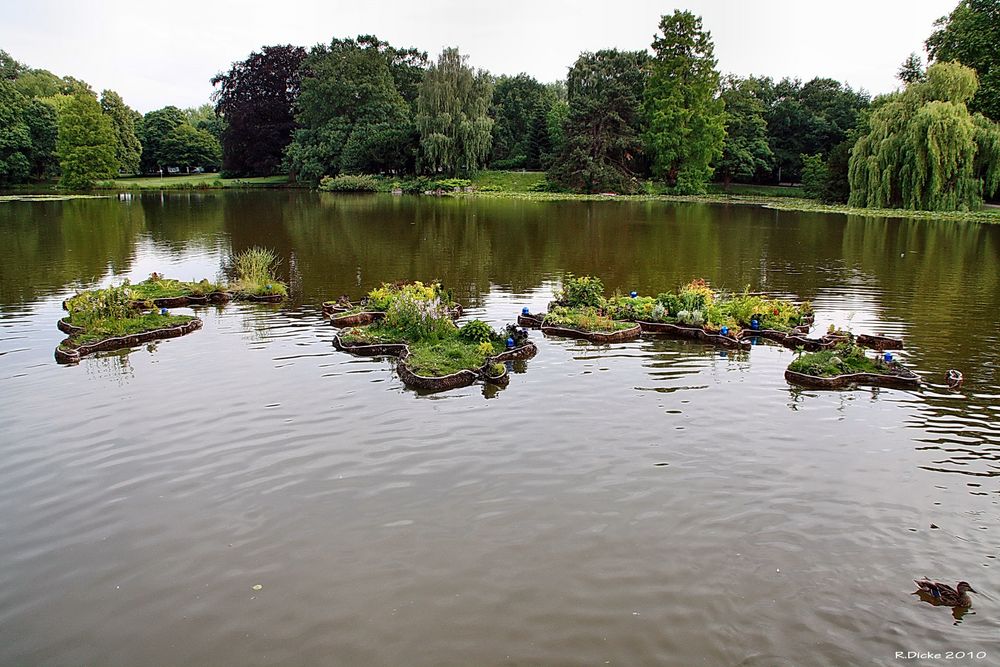 Schwimmende Inseln Foto & Bild landschaft, bach, fluss & see, see