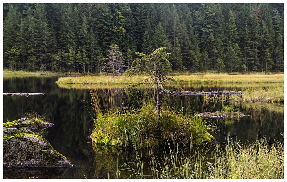 Schwimmende Inseln..