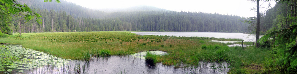 Schwimmende Inseln im Arbersee, Bayrischer Wald bei Regen :)