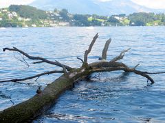 schwimmende Landebrücke ...