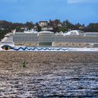 schwimmende Massen-Käfig-Haltung vor Blankenese