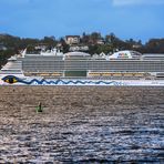 schwimmende Massen-Käfig-Haltung vor Blankenese