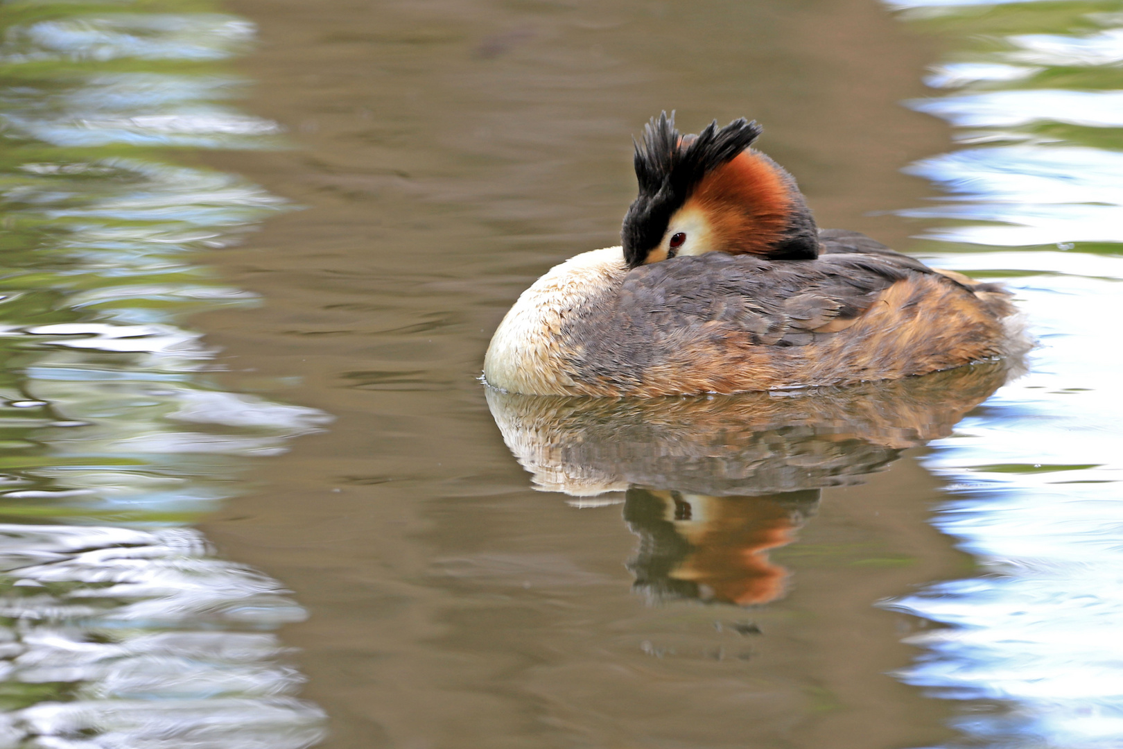 Schwimmende Ruhepause