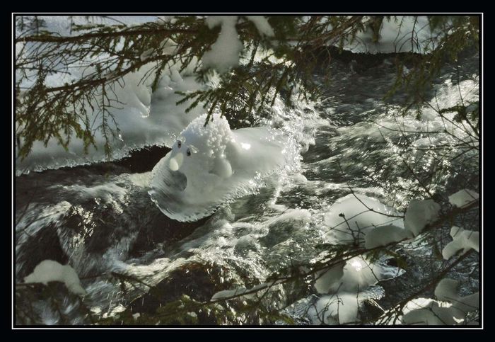 Schwimmender Schneemann | Swimming Snowman