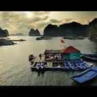 Schwimmendes Dorf in der Halong Bucht