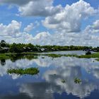 Schwimmendes Dorf, Tonle Sap