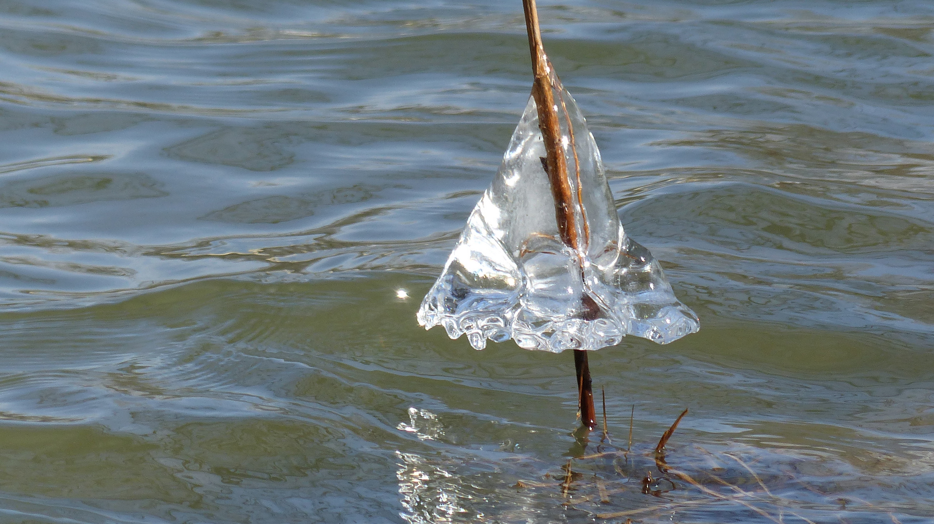 Schwimmendes Eisgebilde am See P1370584